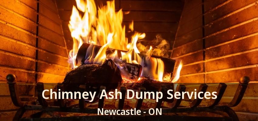 Chimney Ash Dump Services Newcastle - ON