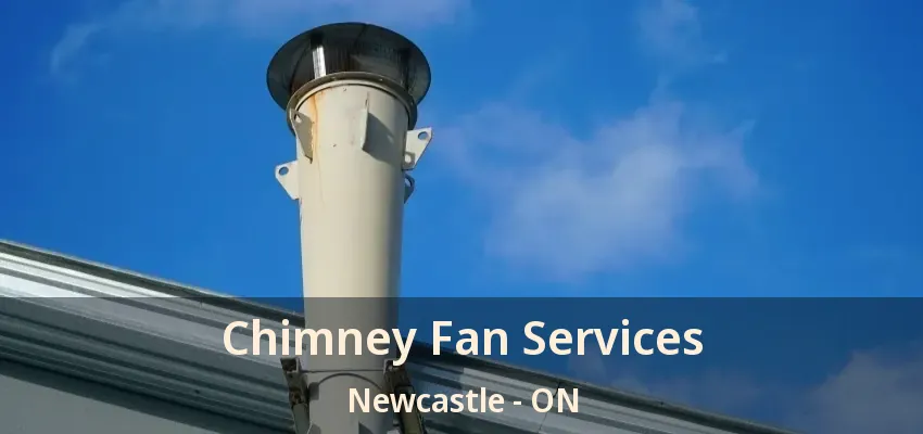 Chimney Fan Services Newcastle - ON