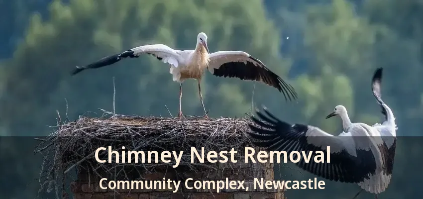 Chimney Nest Removal Community Complex, Newcastle - ON
