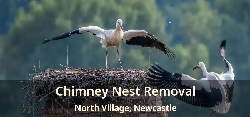 Chimney Nest Removal North Village, Newcastle - ON