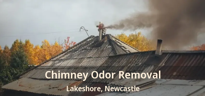 Chimney Odor Removal Lakeshore, Newcastle - ON