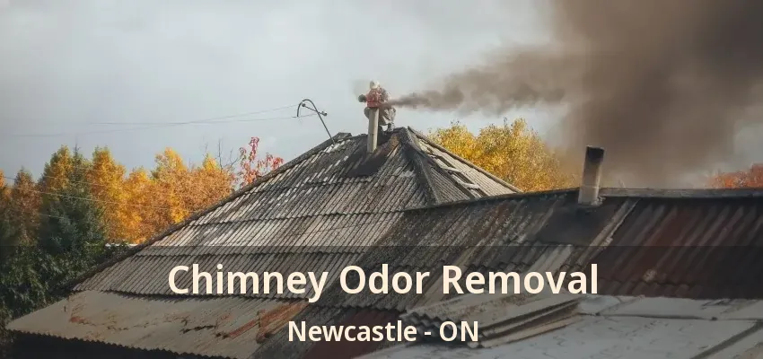 Chimney Odor Removal Newcastle - ON