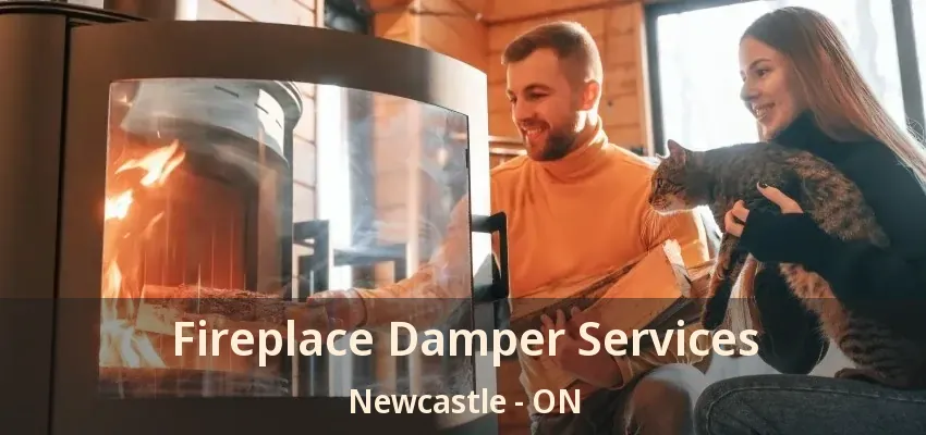 Fireplace Damper Services Newcastle - ON