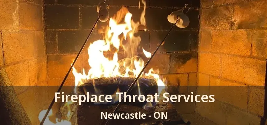 Fireplace Throat Services Newcastle - ON