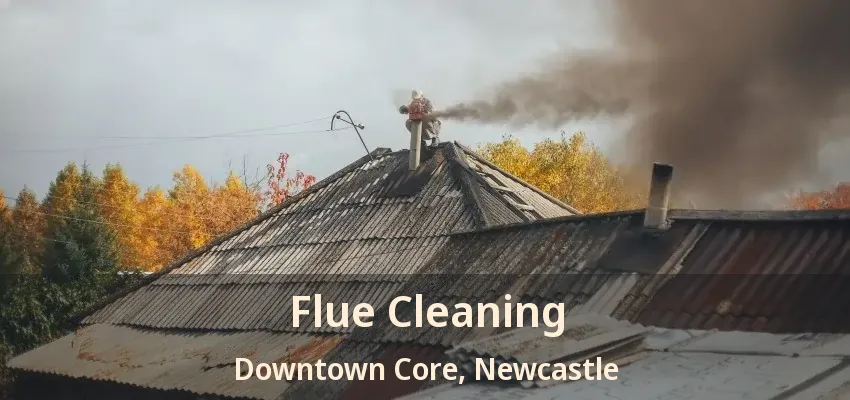 Flue Cleaning Downtown Core, Newcastle - ON