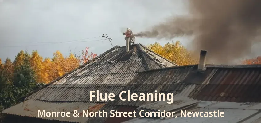 Flue Cleaning Monroe & North Street Corridor, Newcastle - ON