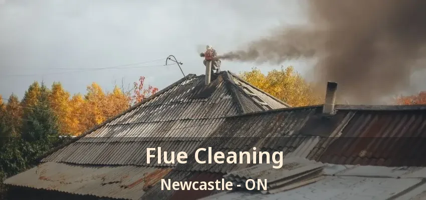 Flue Cleaning Newcastle - ON