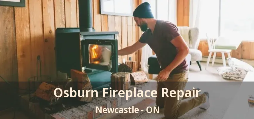Osburn Fireplace Repair Newcastle - ON