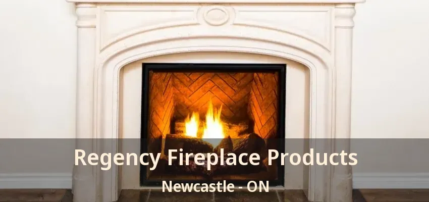 Regency Fireplace Products Newcastle - ON