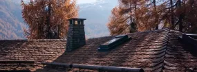 Chimney Animal Removal Newcastle