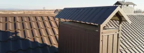 Chimney Cap Services Newcastle